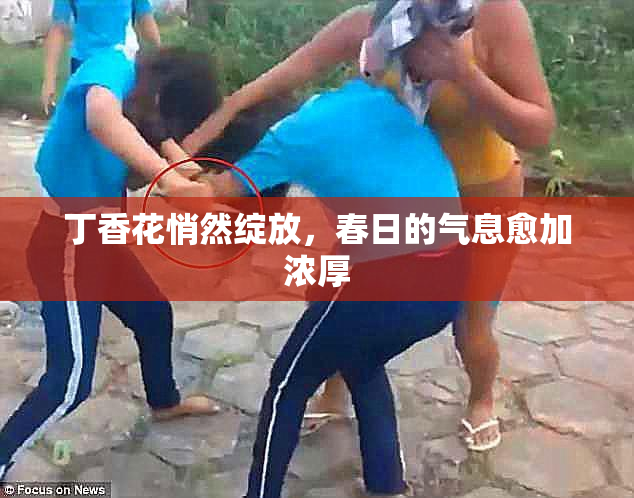 丁香花悄然绽放，春日的气息愈加浓厚
