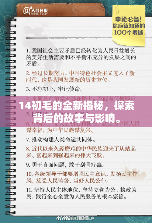 14初毛的全新揭秘，探索背后的故事与影响。