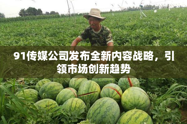 91传媒公司发布全新内容战略，引领市场创新趋势