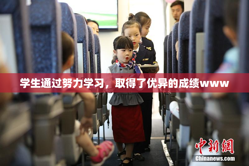 学生通过努力学习，取得了优异的成绩www