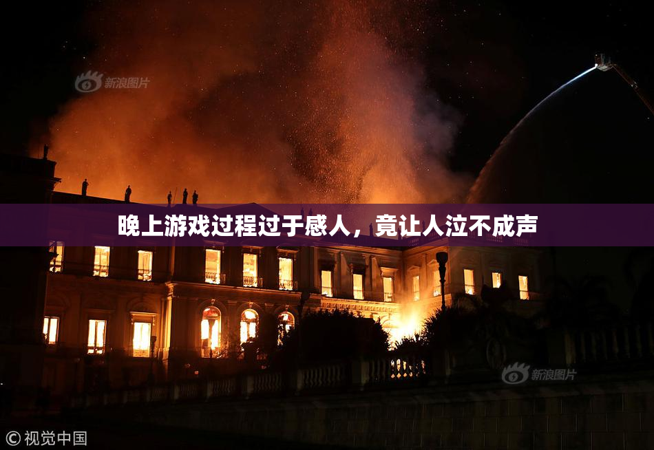 晚上游戏过程过于感人，竟让人泣不成声