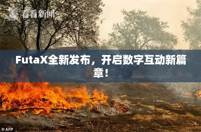 FutaX全新发布，开启数字互动新篇章！