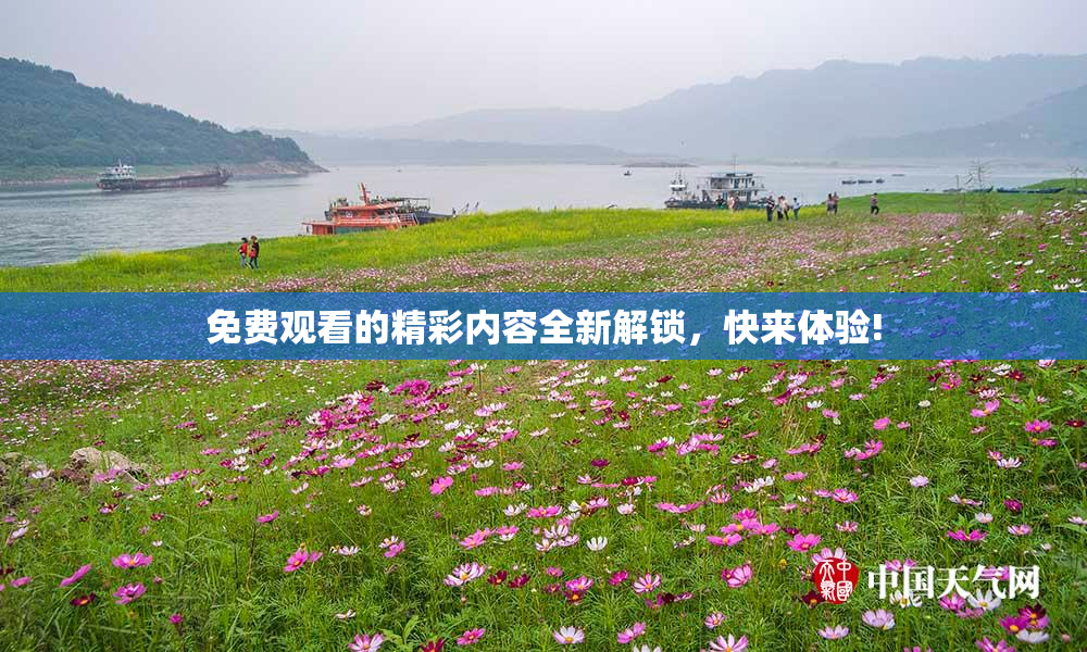免费观看的精彩内容全新解锁，快来体验!