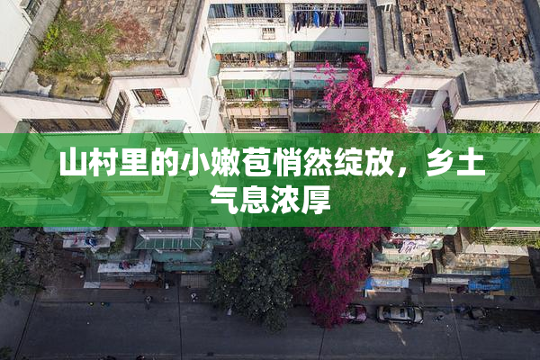 山村里的小嫩苞悄然绽放，乡土气息浓厚