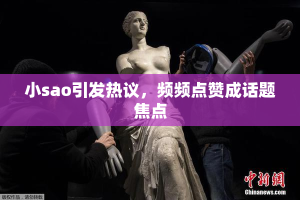 小sao引发热议，频频点赞成话题焦点