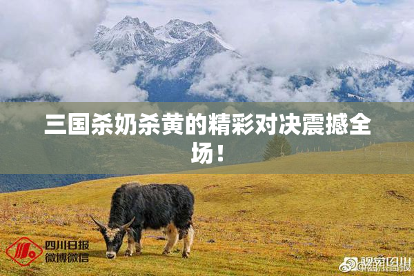 三国杀奶杀黄的精彩对决震撼全场！