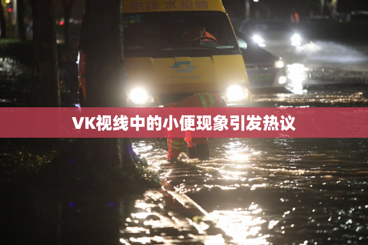 VK视线中的小便现象引发热议