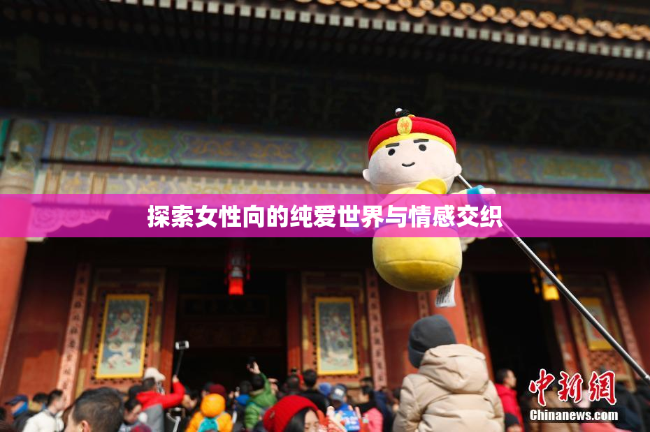 探索女性向的纯爱世界与情感交织