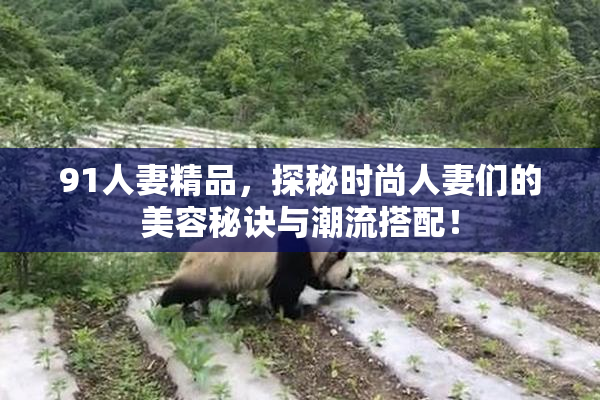 91人妻精品，探秘时尚人妻们的美容秘诀与潮流搭配！