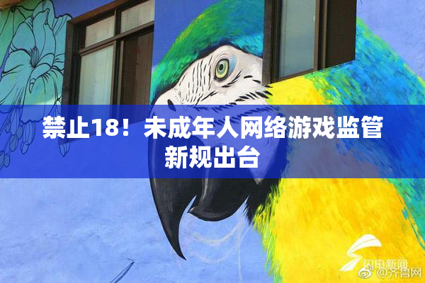 禁止18！未成年人网络游戏监管新规出台