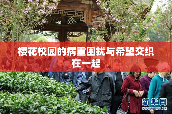 樱花校园的病重困扰与希望交织在一起