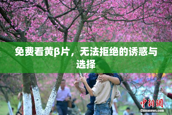 免费看黄β片，无法拒绝的诱惑与选择