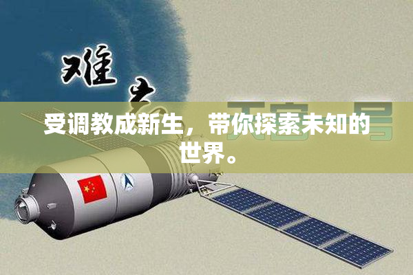 受调教成新生，带你探索未知的世界。