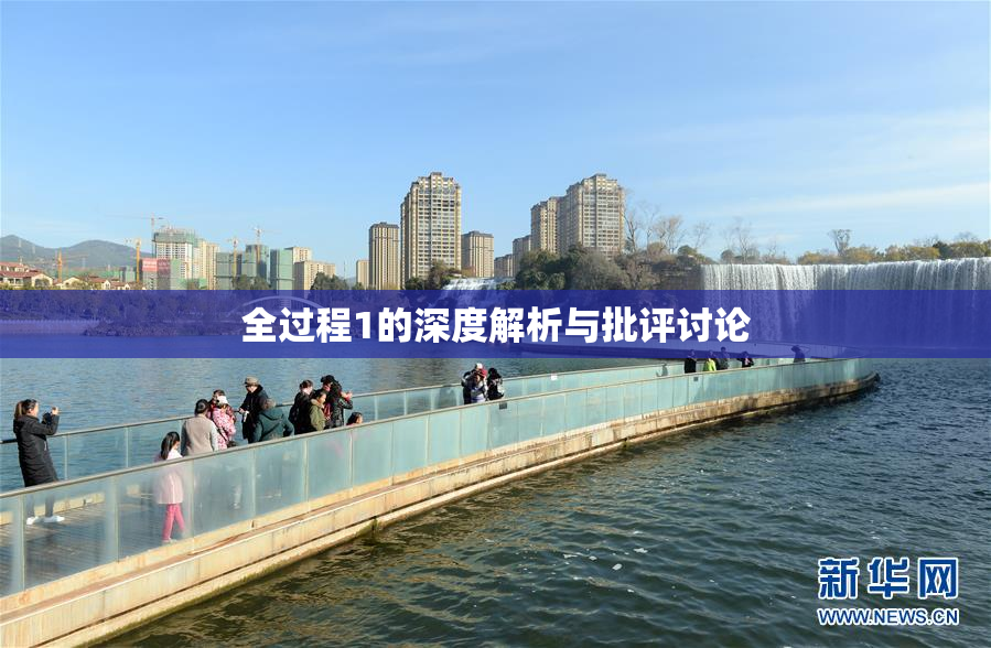 全过程1的深度解析与批评讨论