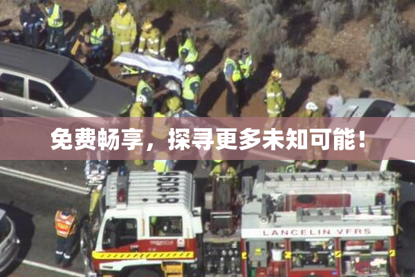 免费畅享，探寻更多未知可能！