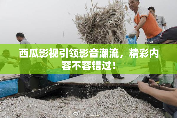 西瓜影视引领影音潮流，精彩内容不容错过！