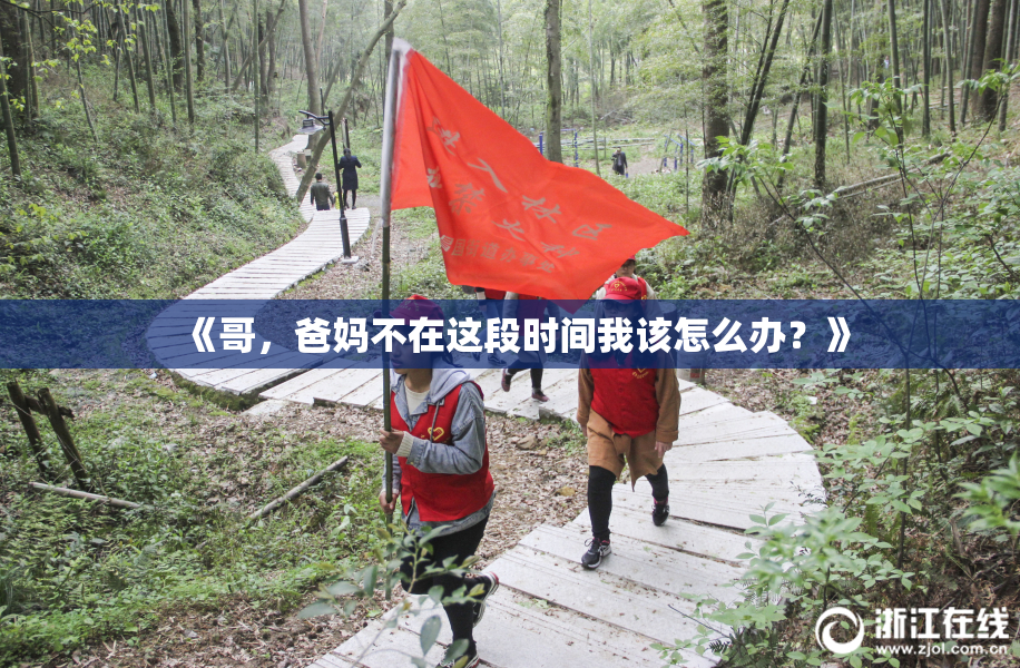 《哥，爸妈不在这段时间我该怎么办？》