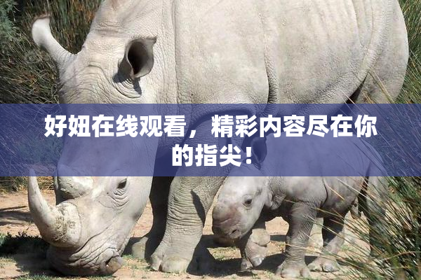 好妞在线观看，精彩内容尽在你的指尖！