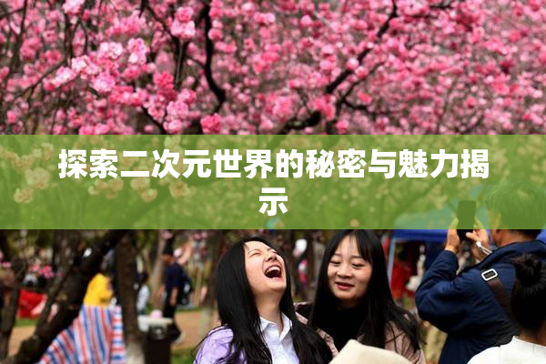 探索二次元世界的秘密与魅力揭示
