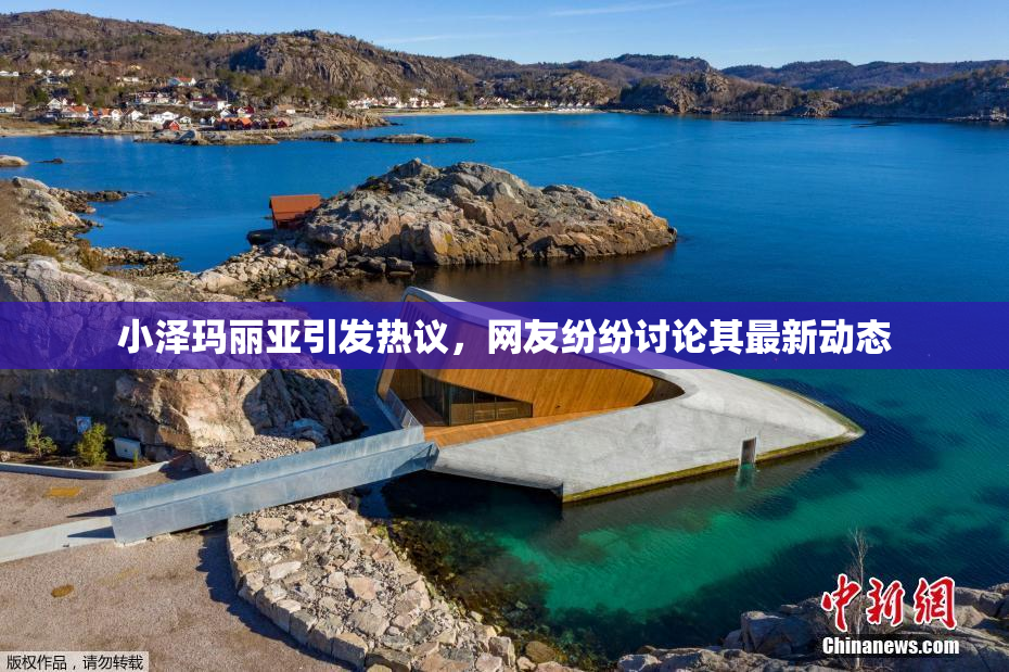 小泽玛丽亚引发热议，网友纷纷讨论其最新动态