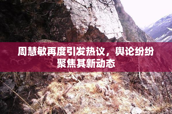 周慧敏再度引发热议，舆论纷纷聚焦其新动态