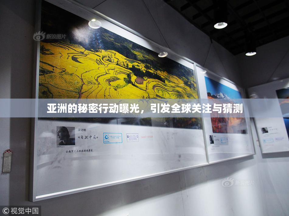 亚洲的秘密行动曝光，引发全球关注与猜测