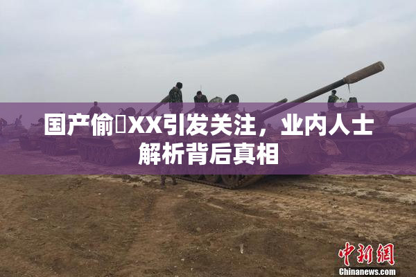 国产偷抇XX引发关注，业内人士解析背后真相