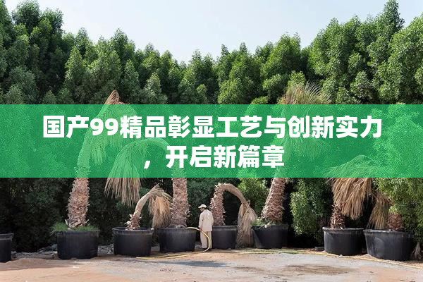 国产99精品彰显工艺与创新实力，开启新篇章