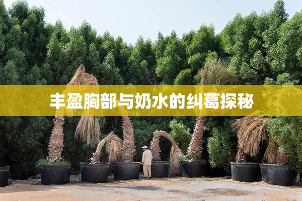 丰盈胸部与奶水的纠葛探秘