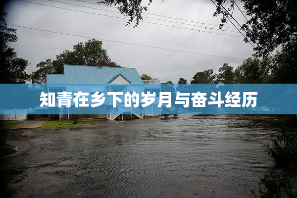 知青在乡下的岁月与奋斗经历