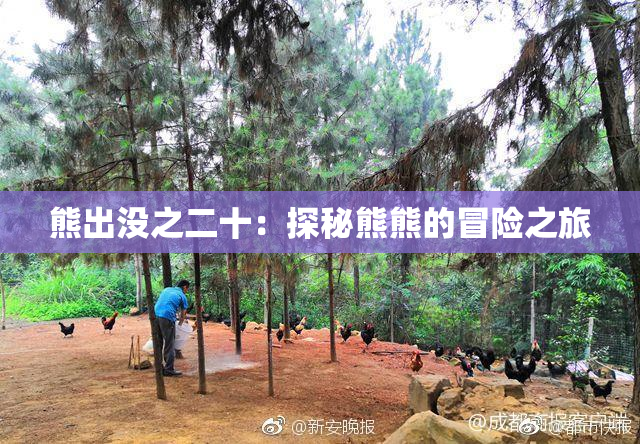 熊出没之二十：探秘熊熊的冒险之旅