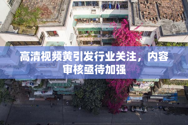 高清视频黄引发行业关注，内容审核亟待加强