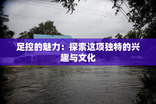 足控的魅力：探索这项独特的兴趣与文化