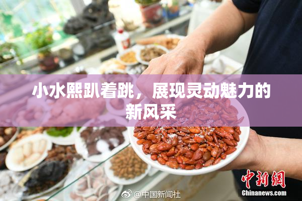 小水熙趴着跳，展现灵动魅力的新风采
