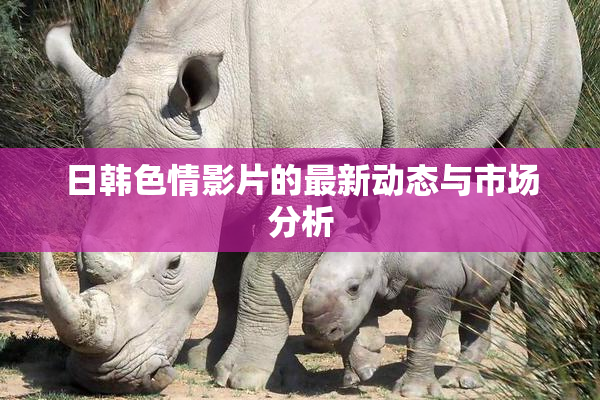 日韩色情影片的最新动态与市场分析