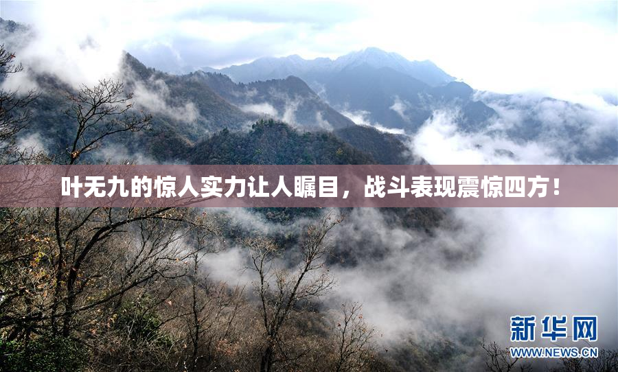 叶无九的惊人实力让人瞩目，战斗表现震惊四方！