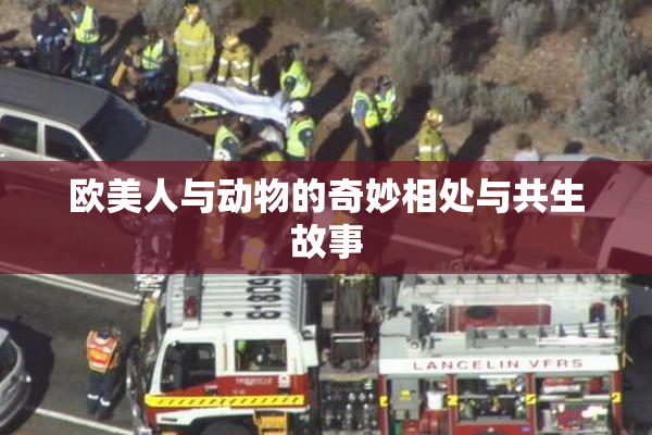 欧美人与动物的奇妙相处与共生故事