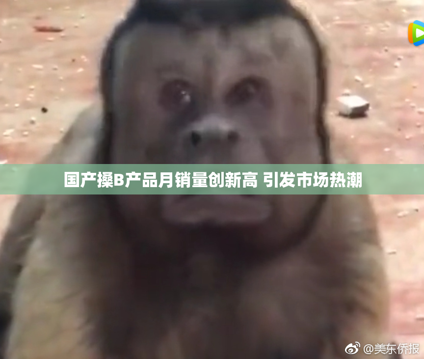 国产搡B产品月销量创新高 引发市场热潮