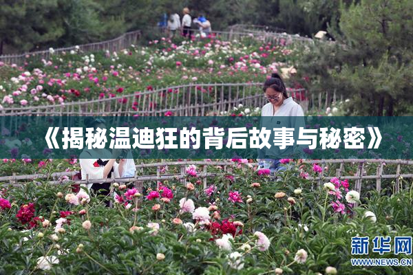 《揭秘温迪狂的背后故事与秘密》