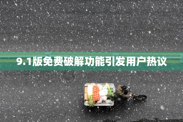 9.1版免费破解功能引发用户热议