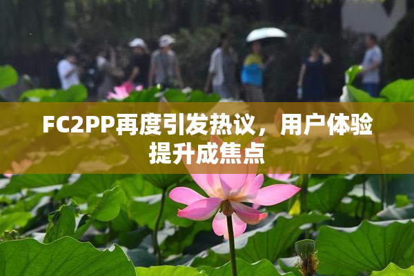 FC2PP再度引发热议，用户体验提升成焦点