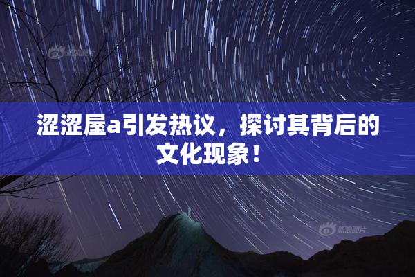 涩涩屋a引发热议，探讨其背后的文化现象！