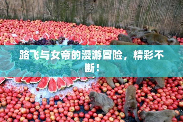 路飞与女帝的漫游冒险，精彩不断！