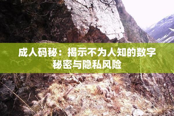成人码秘：揭示不为人知的数字秘密与隐私风险