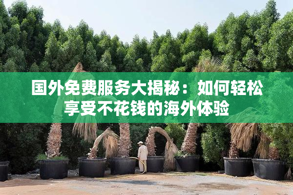 国外免费服务大揭秘：如何轻松享受不花钱的海外体验