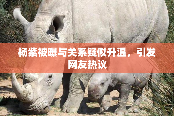 杨紫被曝与关系疑似升温，引发网友热议