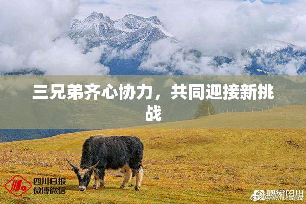 三兄弟齐心协力，共同迎接新挑战