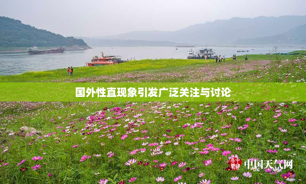 国外性直现象引发广泛关注与讨论