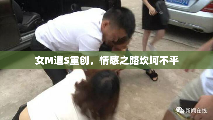 女M遭S重创，情感之路坎坷不平