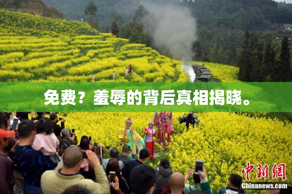 免费？羞辱的背后真相揭晓。